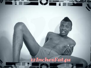 12InchesFat4u