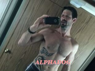 ALPHADOG