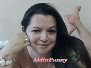 AidinPunny