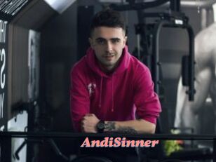 AndiSinner