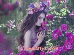 AngelFlyLaVid