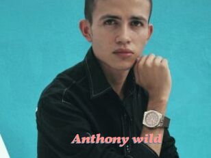 Anthony_wild