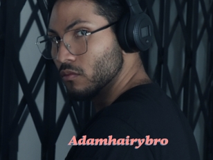 Adamhairybro