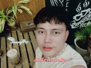 Aidenlandy