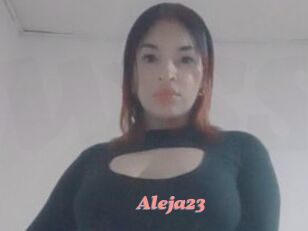 Aleja23