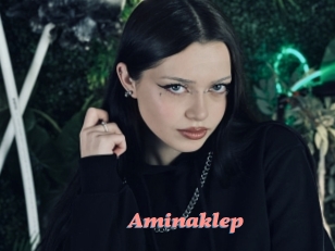 Aminaklep