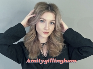 Amitygillingham