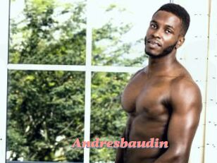 Andresbaudin