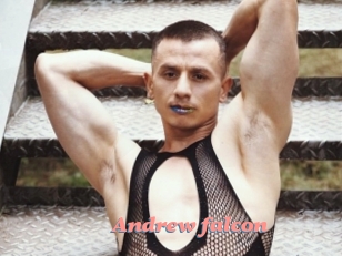 Andrew_falcon