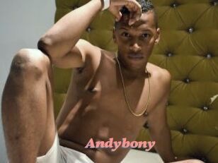 Andybony