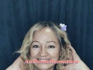 Anthonellamature
