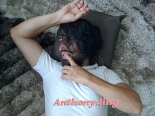 Anthonyding