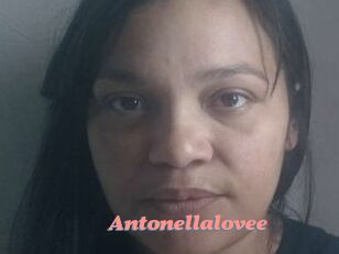 Antonellalovee