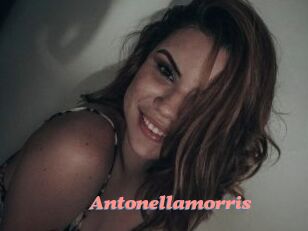 Antonellamorris