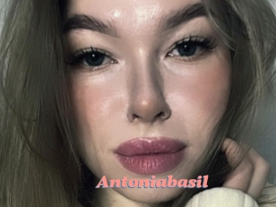 Antoniabasil