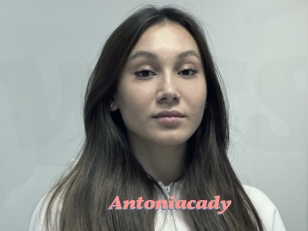 Antoniacady