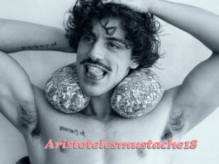 Aristotelesmustache18