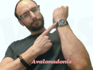 Avalonadonis