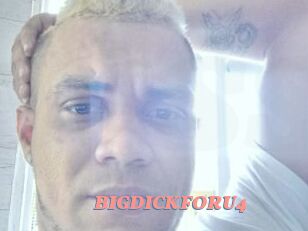 BIGDICKFORU4
