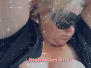 Bigmaturekitty