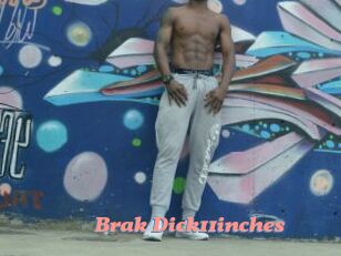 Brak_Dick11inches