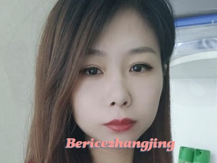 Bericezhangjing