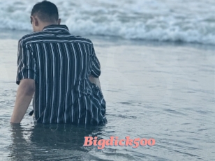 Bigdick500