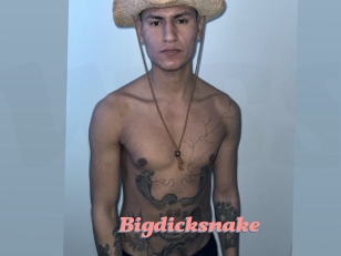 bigdicksnake Webcam Sex Site