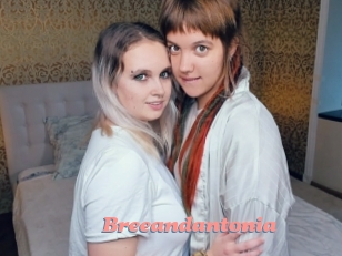 Breeandantonia