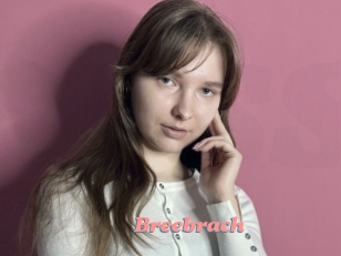 Breebrach