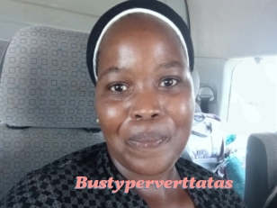 Bustyperverttatas