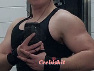 Ceebizkit