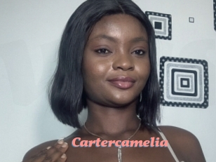 Cartercamelia