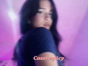 Cassiespicy