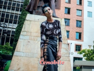 cenobite Webcam Sex Site