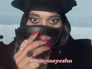 Crossyaayesha