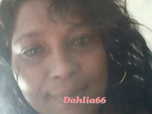 Dahlia66