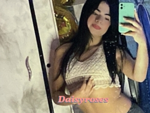 Daisyroses