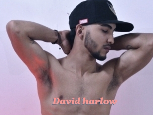 David_harlow