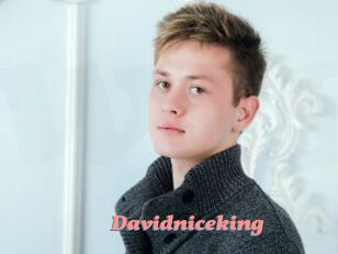 Davidniceking
