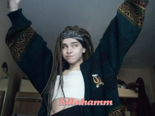 Edlahamm