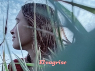 Elvagrise