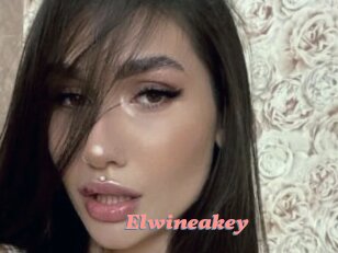 Elwineakey