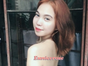 Eunicerose