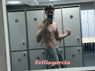 Fellixgarcia