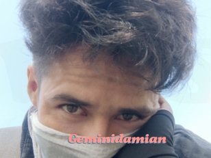 Geminidamian
