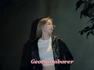 Georginaborer