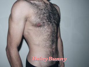 HairyBunny
