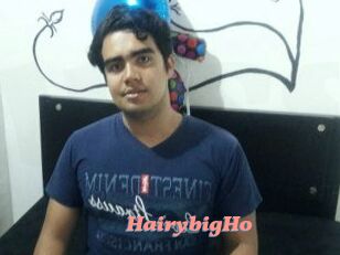 HairybigHo