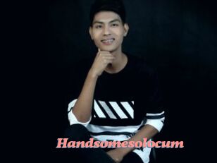 Handsomesolocum